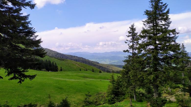 Free stock image of Tranquil Mountain Hill created by Michelle H. Thomas