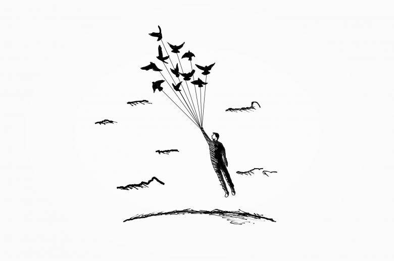 Free stock image of Freedom Concept - Flying with the Birds created by Jack Moreh