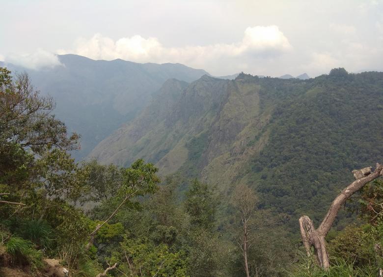 Free stock image of Top Hill Station at Munnar, India created by Tona sam