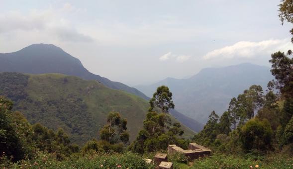 Top Hill Station at Munnar, Kerala India