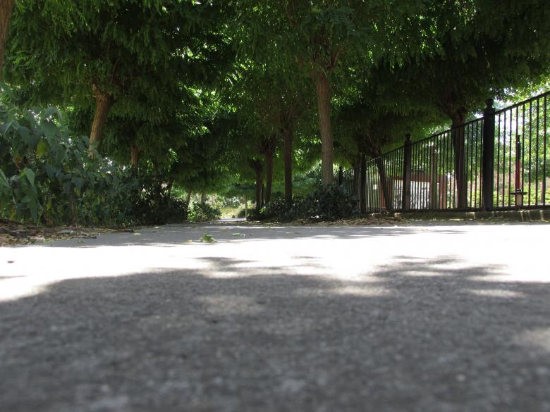 Free stock image of Tree shadow in the park created by Michiru Maeda