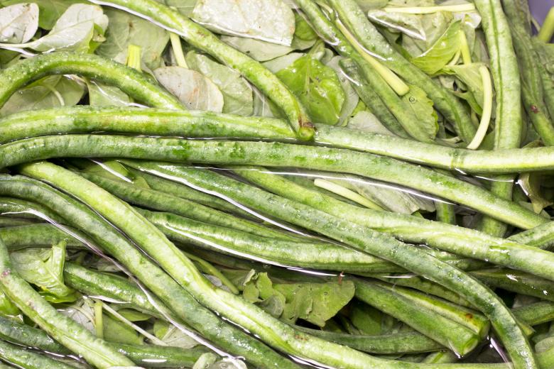 Free stock image of Beans Soaked in Water created by sapiduduk