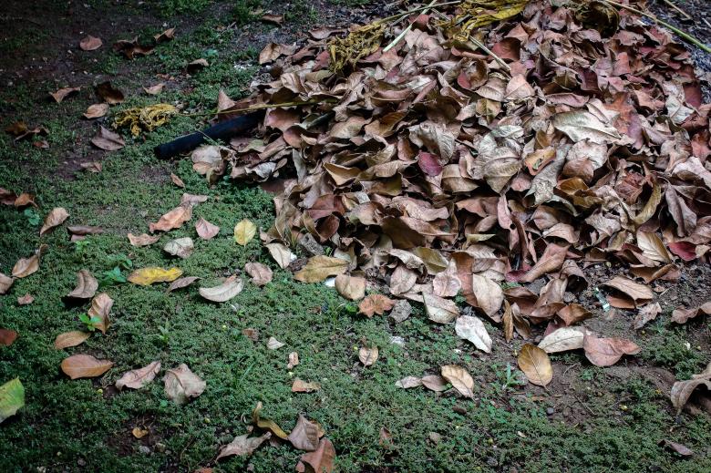 Free stock image of Fallen leaves in the park created by sapiduduk