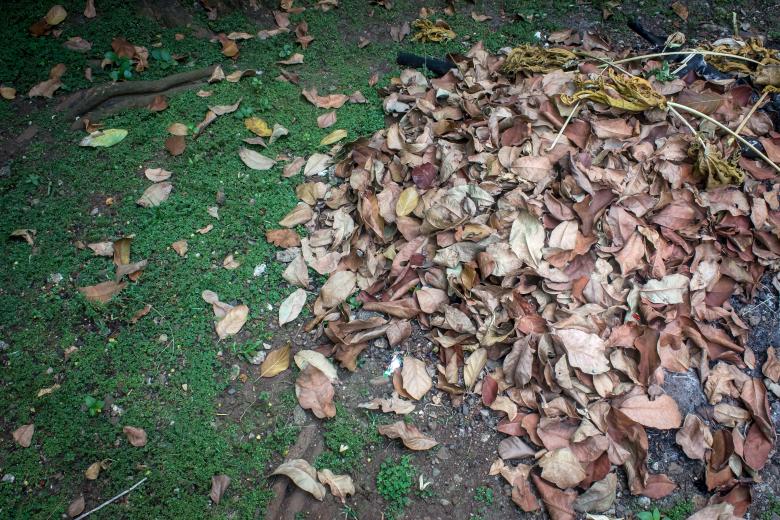 Free stock image of Fallen autumn leaves in the park created by sapiduduk