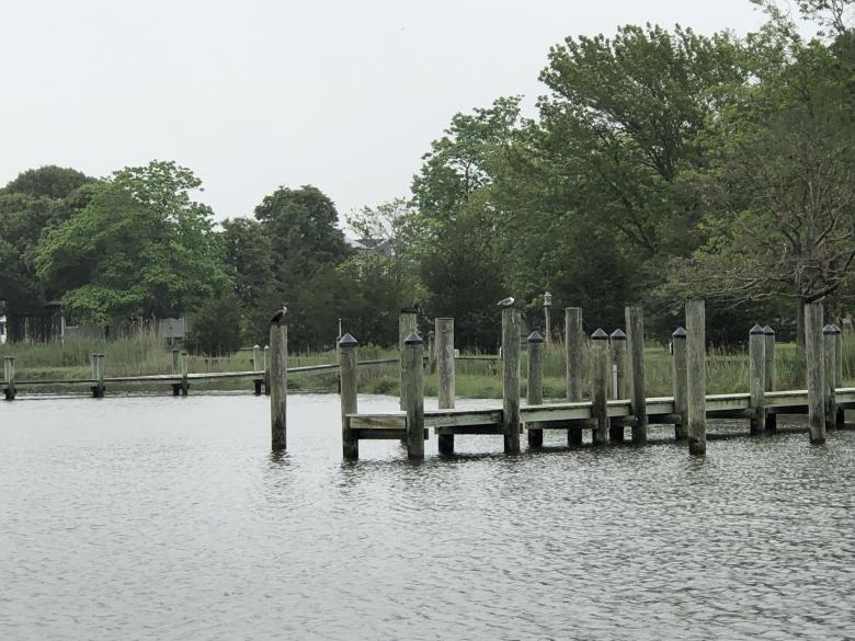 Free stock image of Wooden Docks created by STEPHEN BRAUN