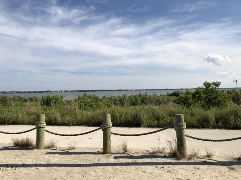 Free stock image of Fence Poles - Beach View created by STEPHEN BRAUN