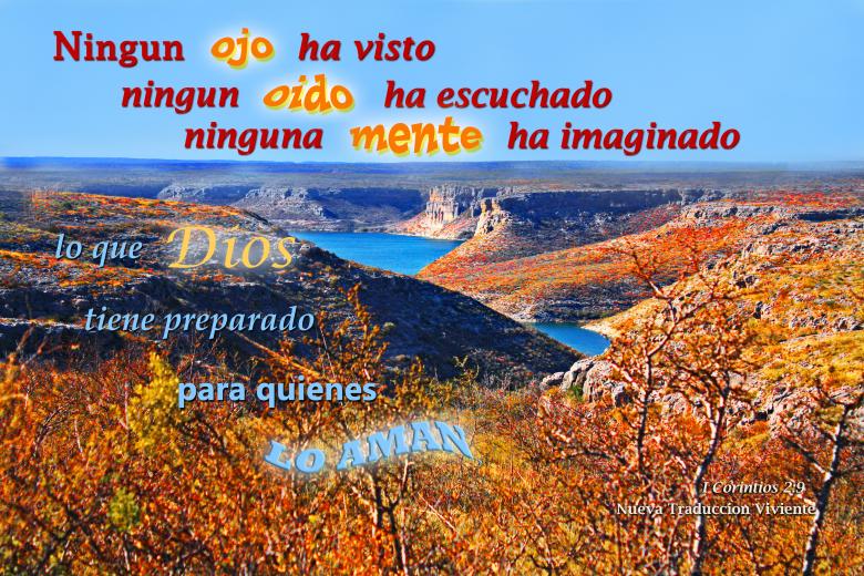 Free stock image of Ningun Ojo Ha Visto created by DFNatureAwed