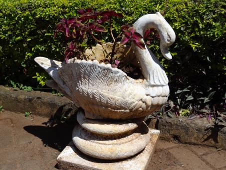 Flower Pot with Swan Design - Free Stock Photo