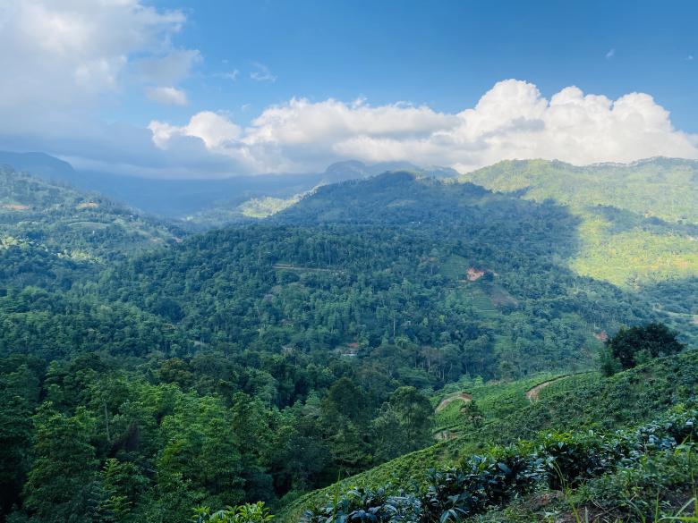 Free stock image of Mountain View - Green Valleys created by SK