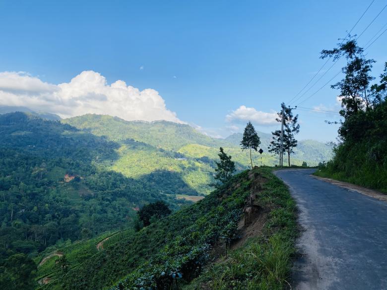 Free stock image of Road Side View - Beautiful Scenery created by SK