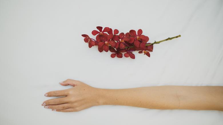 Free stock image of Red Flowers and Woman's Hand created by Atul Saini
