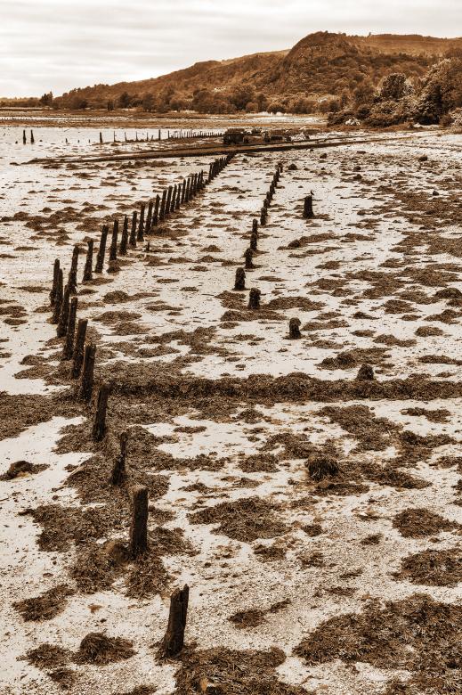 Free stock image of Dumbarton Beach Pylons - Sepia Nostalgia created by Nicolas Raymond