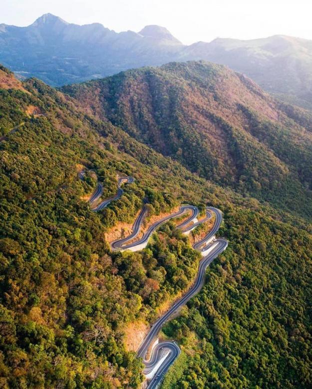 Free stock image of A lonely road through the Jungle created by SK