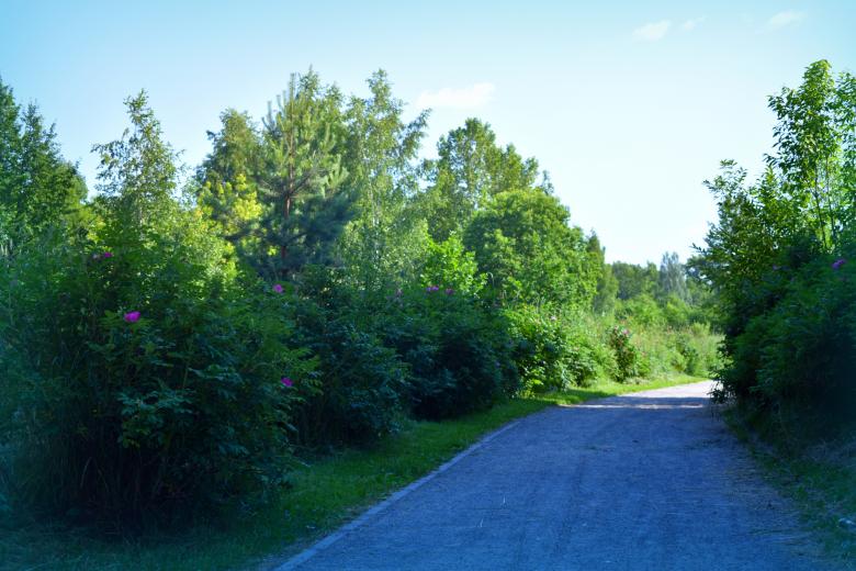 Free stock image of Going Somewhere created by NomeVizualizzato