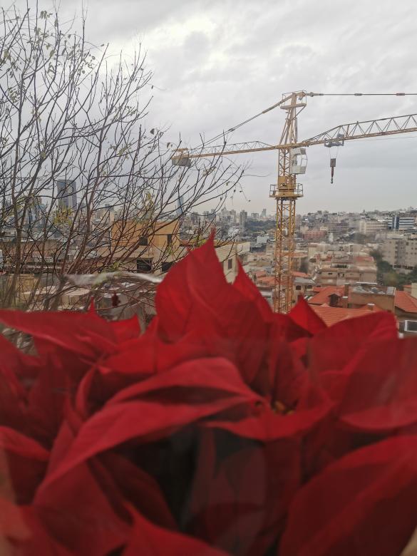 Free stock image of Flower of Beirut created by Karem