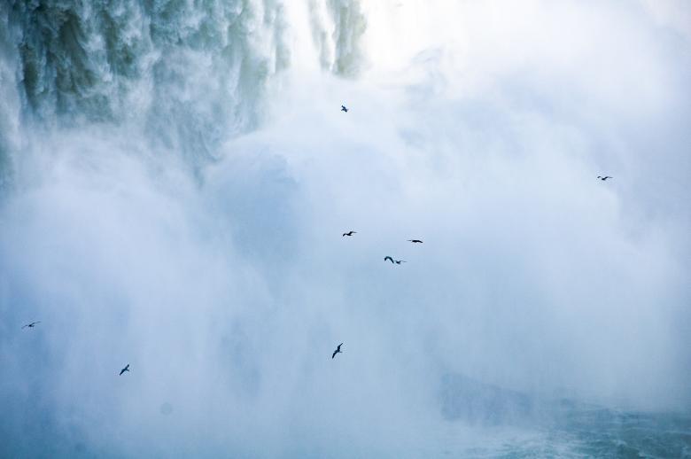 Free stock image of Birds and Waterfall created by Quentin Lagadic