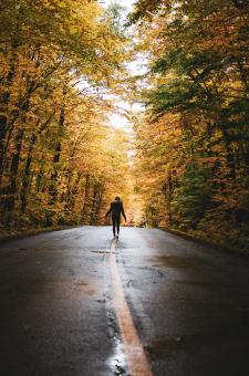 Girl Walking on Road in Autumn - Free Stock Photo