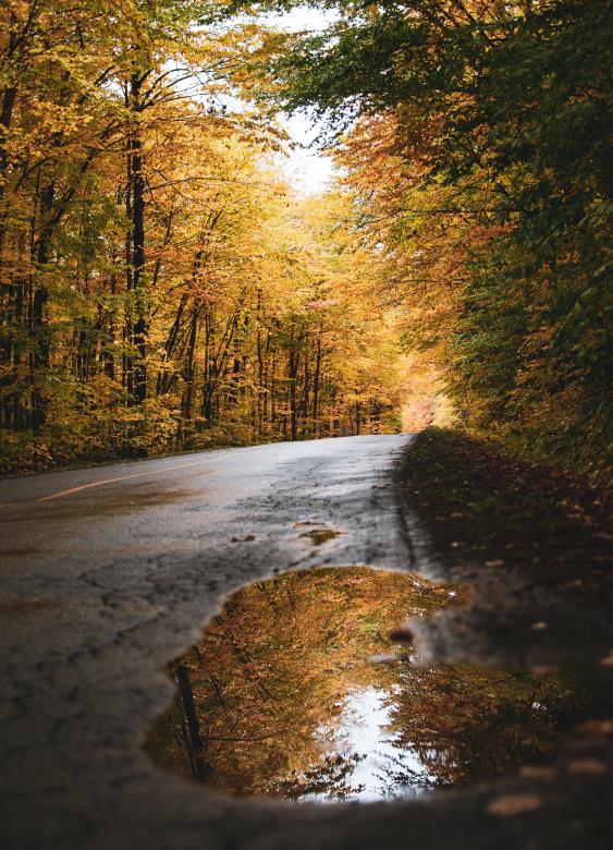 Free stock image of Autumn Road with Water created by Quentin Lagadic