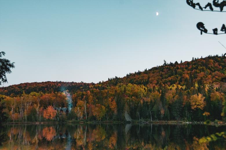 Free stock image of Autumn Forest Landscape created by Quentin Lagadic