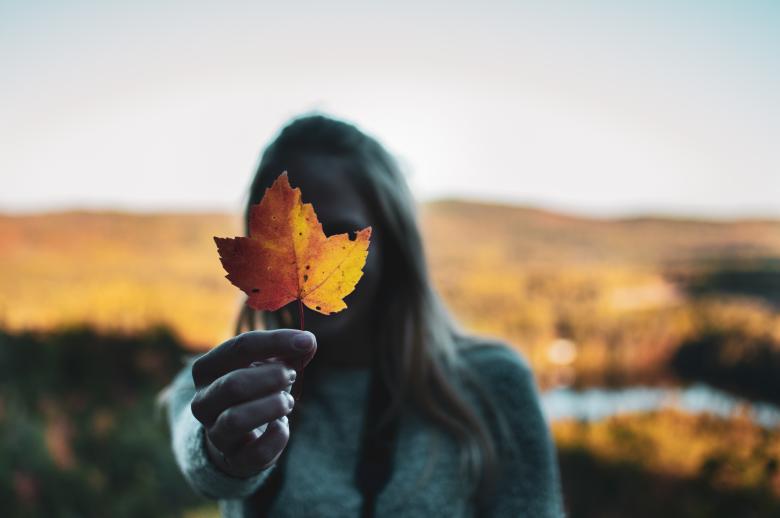 Free stock image of Girl Holding Autumn Leaf created by Quentin Lagadic