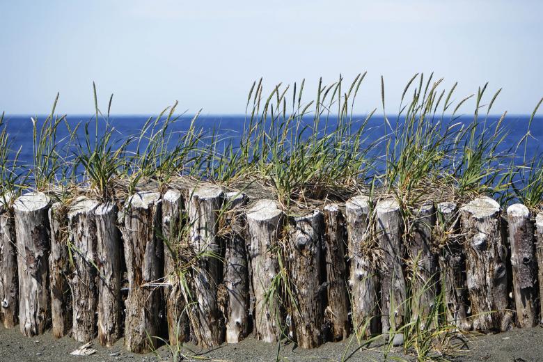 Free stock image of Wooden beach barricade created by Geoffrey Whiteway