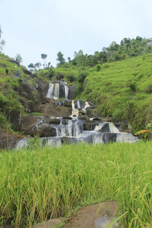 Free stock image of Beautiful Waterfall and Rice Field created by vanse