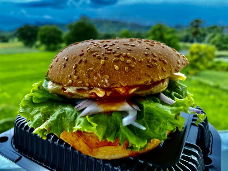 Free stock image of Sri Lanka Hamburger created by SK