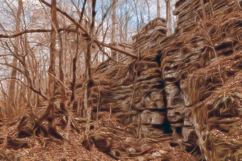 Free stock image of Dreamy Forest Ruins created by Nicolas Raymond