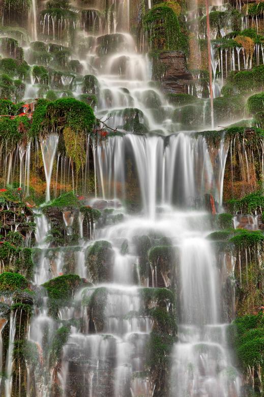Free stock image of Springing Moss Falls created by Nicolas Raymond
