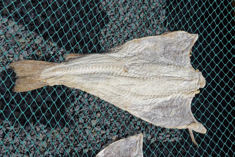 Free stock image of Salted Cod created by Geoffrey Whiteway