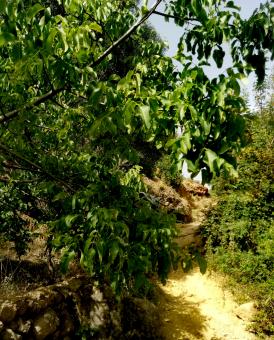 The beauty of the Moroccan nature in the Rif Mountains - Free Stock Photo