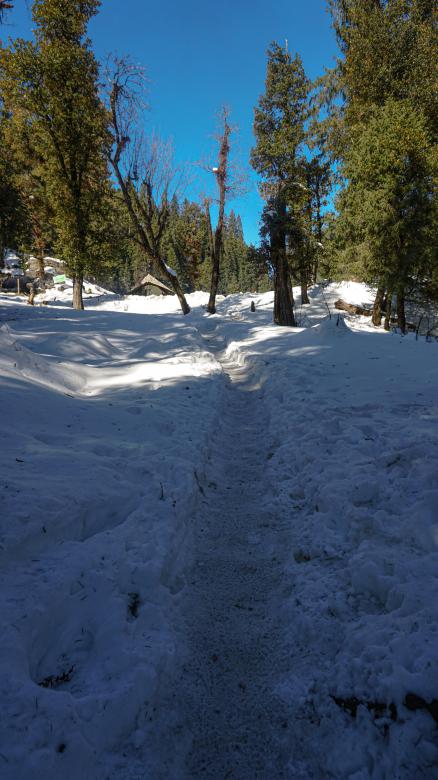 Free stock image of Fresh trail in the snow created by Atul Saini