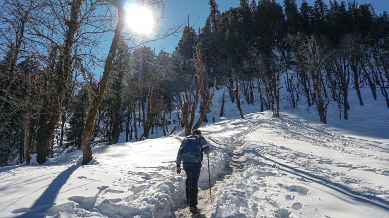 Free stock image of Hiking in the Mountain Woods created by Atul Saini