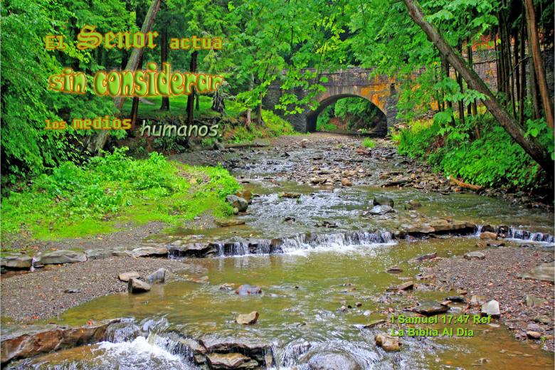 Free stock image of El Senor Actua created by DFNatureAwed