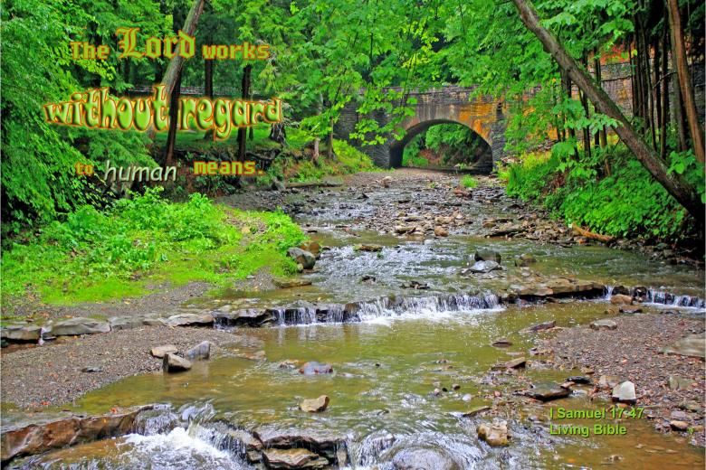 Free stock image of The Lord Works created by DFNatureAwed
