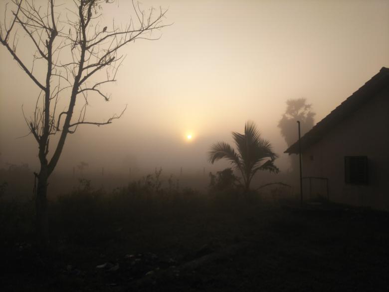 Free stock image of Fogy Sunny created by mohamed aslam