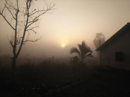 Fogy Sunny - Free Stock Photo