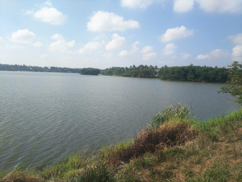 Free stock image of Wonderful Lake View created by mohamed aslam