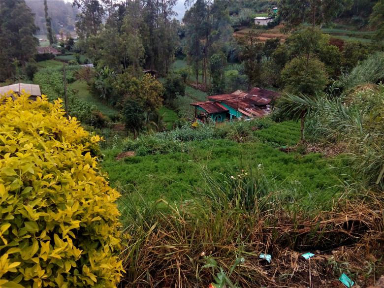 Free stock image of Village House created by mohamed aslam
