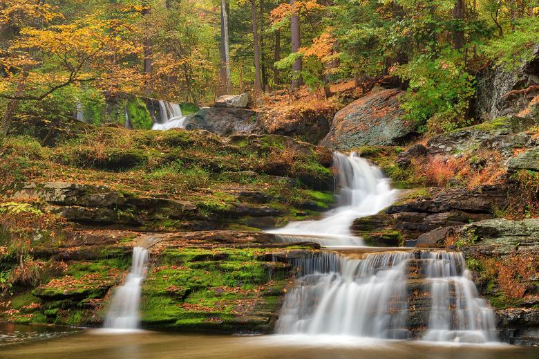 Free stock image of Autumn Forest Factory Falls created by Nicolas Raymond