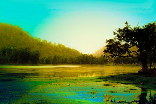 Nature Lake Colored