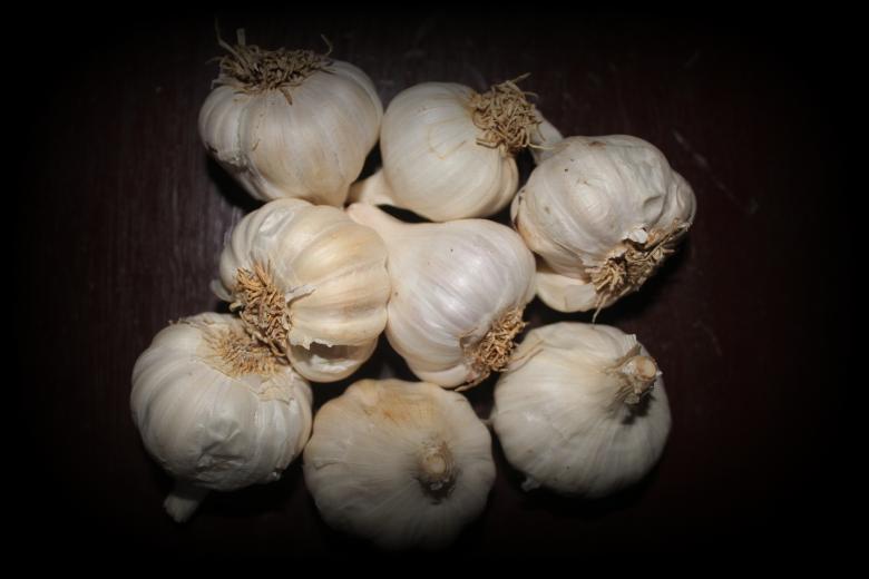Free stock image of Garlic Close-up created by Moon  Bhuyan