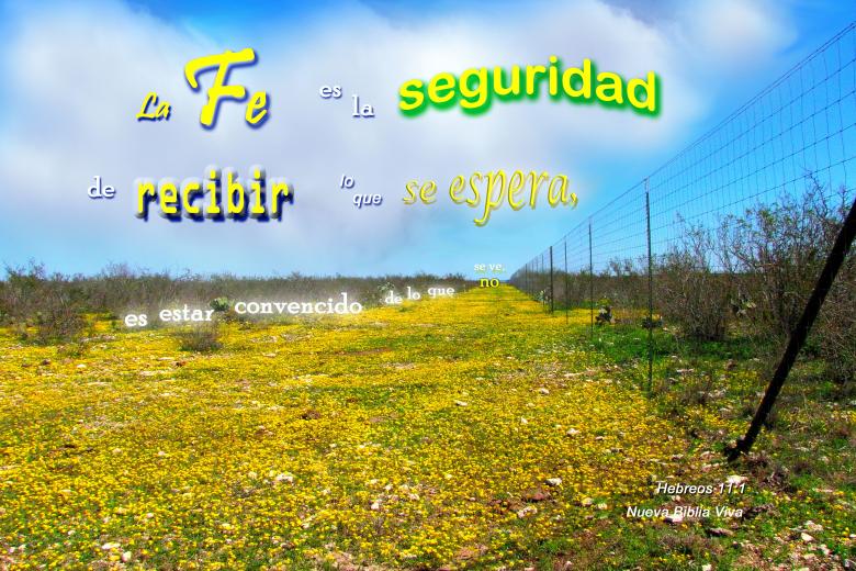 Free stock image of La Fe es la Seguridad created by DFNatureAwed