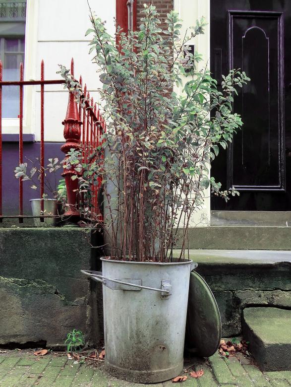 Free stock image of Creative Planting created by Hans Zeilstra