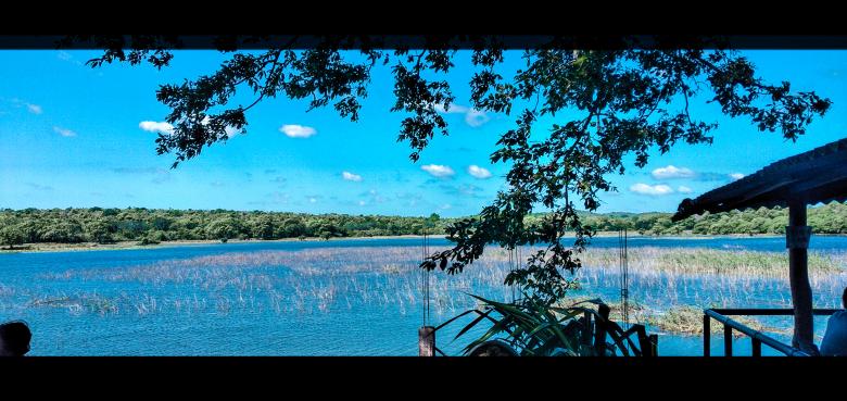 Free stock image of Spring summer landscape in Sri Lanka created by mohamed aslam