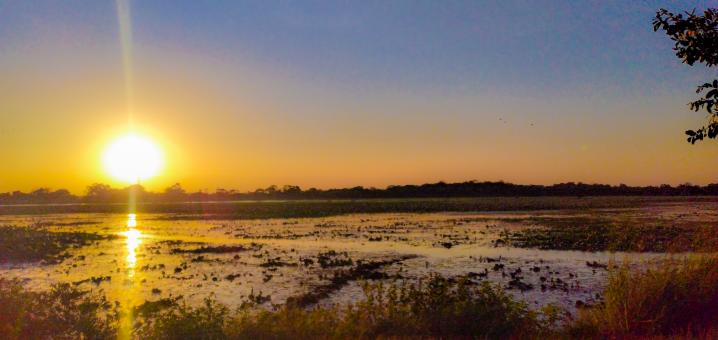 Sun rising above field and pond flooded with fog - Free Stock Photo