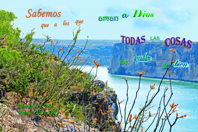 Free stock image of Todas las Cosas a Bien created by DFNatureAwed