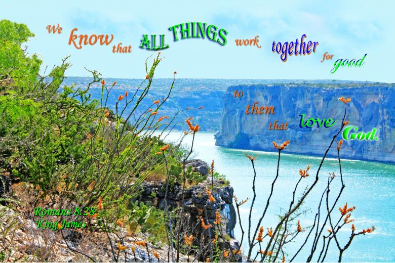 Free stock image of All Things Good created by DFNatureAwed