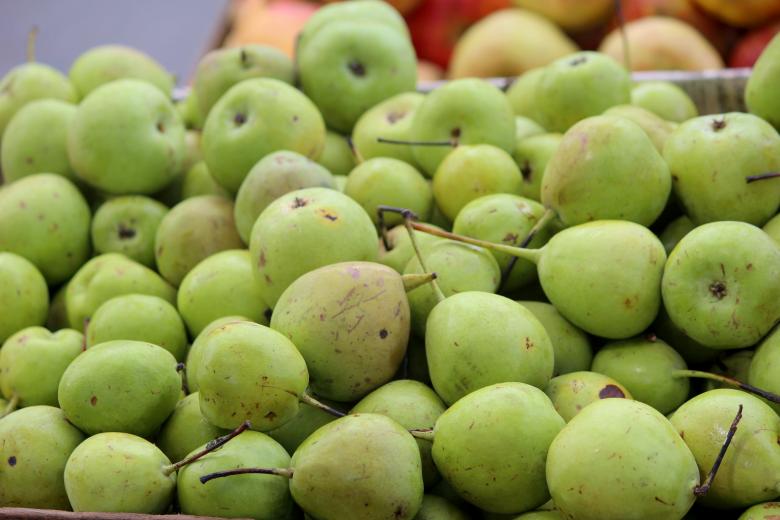 Free stock image of Fresh Pear Fruits created by Moon  Bhuyan