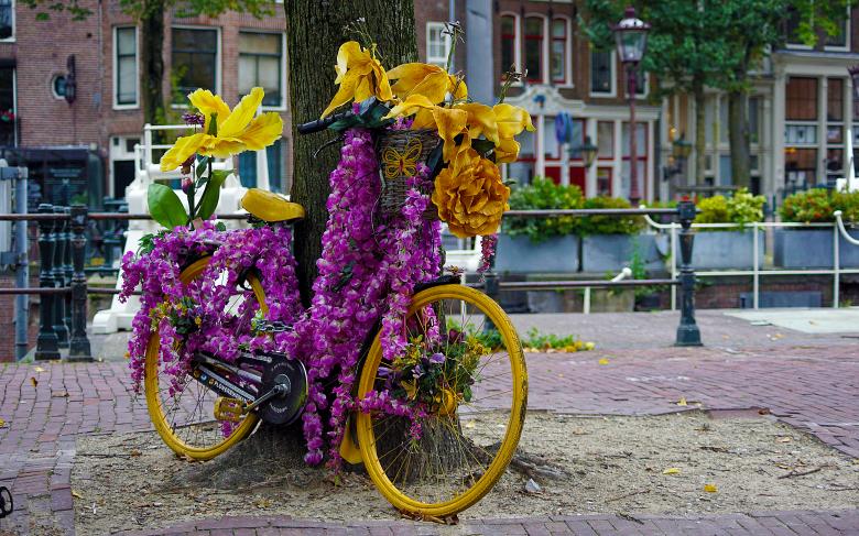 Free stock image of Bike Decorated in Flowers created by Hans Zeilstra